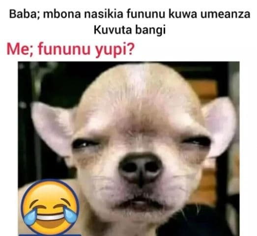 Baba mbona nasikia fununu kuwa umeanza kuvuta bangi me fununu yupi?