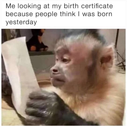 Me looking at my birth certificate because people think was born yesterday
