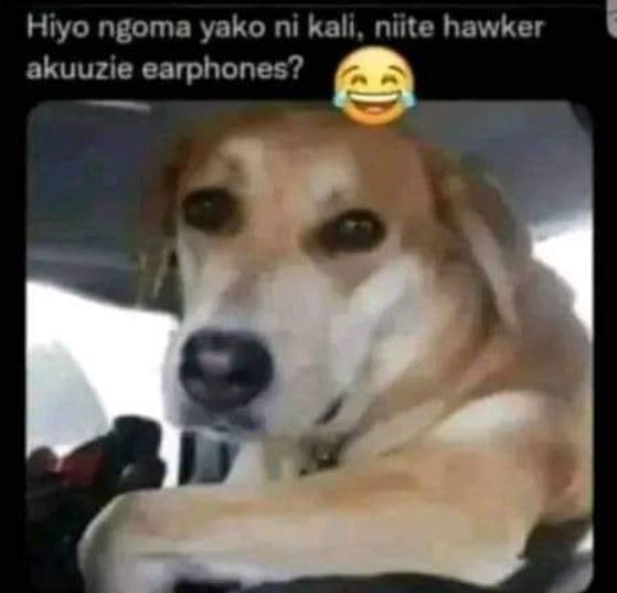 Hiyo ngoma yako ni kali, niite hawker akuuzie earphones?