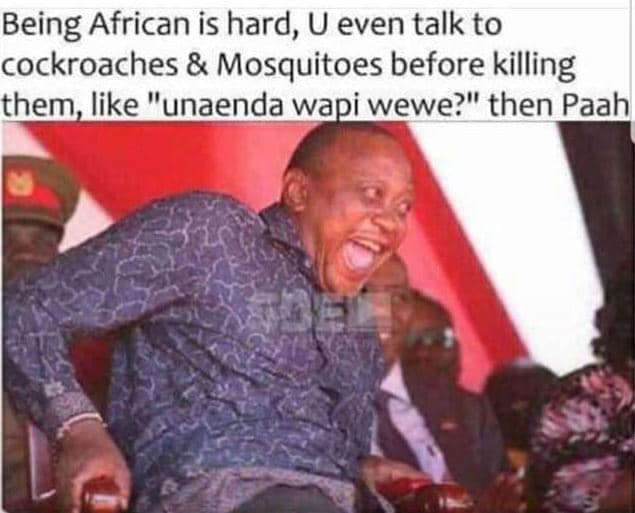 Being african is hard, u even talk to cockroaches mosquitoes before killing them