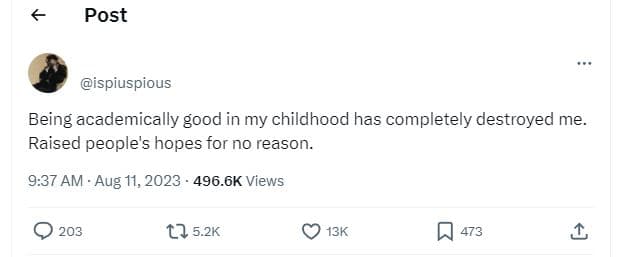 Post ispiuspious being academically good in my childhood has completely destroye