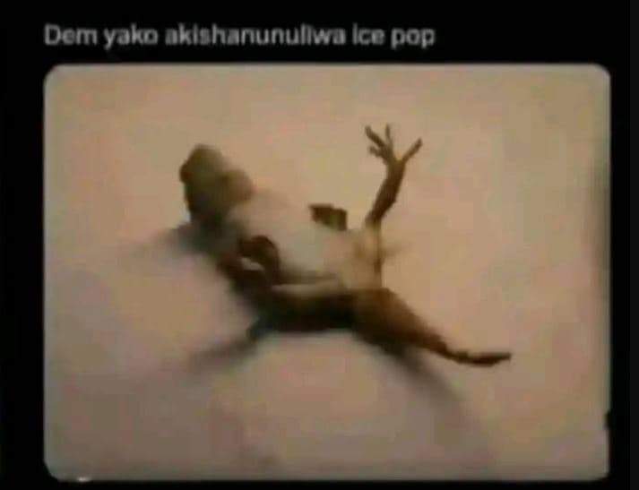 Dem yako oklshanunuliwa lce pon