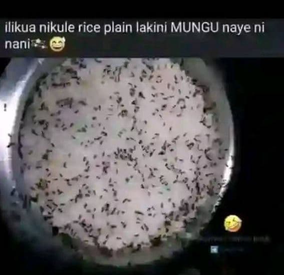 Ilikua nikule rice plain lakini mungu naye ni nani