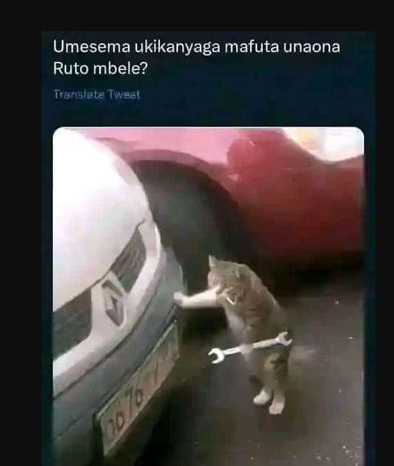 Umesema ukikanyaga mafuta unaona ruto mbele? translole tweel