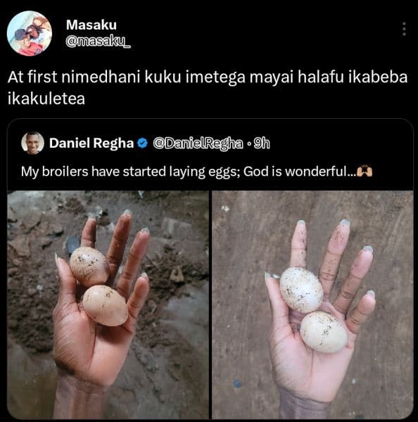Masaku masaku at first nimedhani kuku imetega mayai halafu ikabeba ikakuletea da
