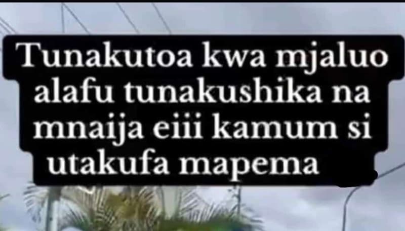 Tunakutoa kwa mjaluo alafu tunakushika na mnaija eiii kamum si utakufa mapema