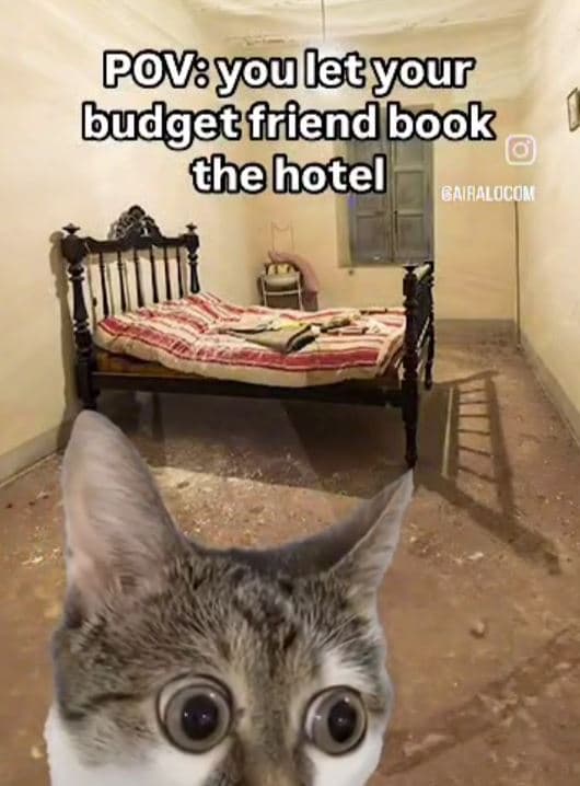 Povyoulecyour budgecftiend book thebotel gairalocon