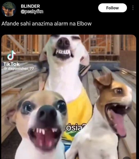 Blinder peakyfik follow afande sahi anazima alarm na elbow tiktok dapunisher77 b