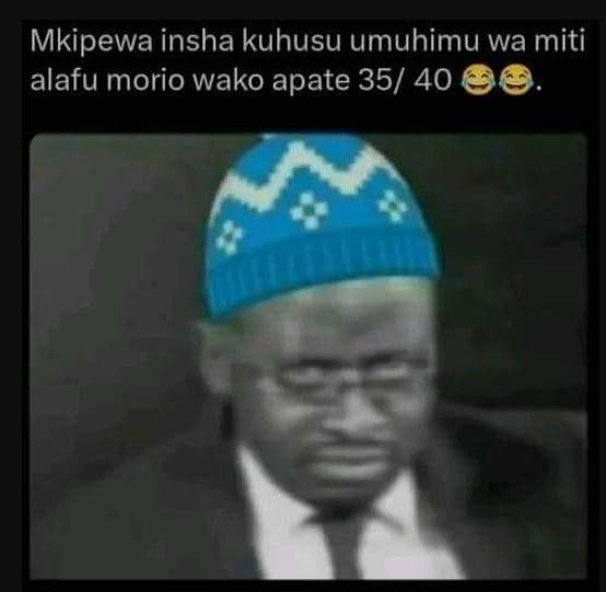 Mkipewa insha kuhusu umuhimu wa miti alafu morio wako apate 35 40