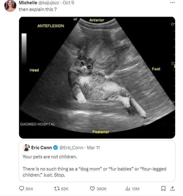 Michelle kajujezz oct 9 then explain this antonor anteflemion hcad foor daomeo h