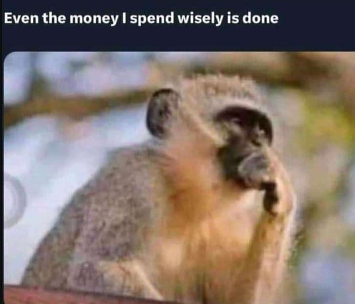 Even the money spend wisely is done