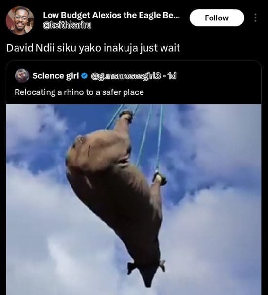 Low budget alexios the eagle be. keidhkariru follow david ndii siku yako inakuja