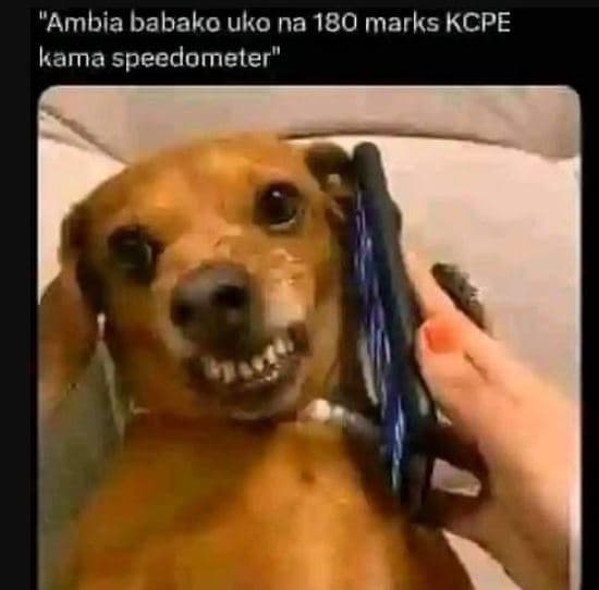 'ambia babako uko na 180 marks kcpe kama speedometer