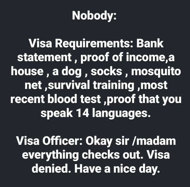Nobody visa requirements bank statement , proof of incomea house a dog socks , m