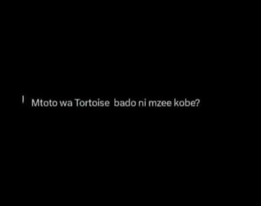 Mtoto wa tortoise bado ni mzee kobe?