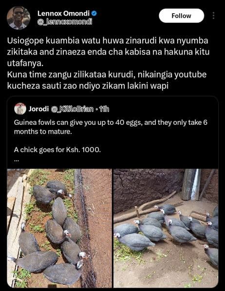 Lennox omondi lennosotnond follow usiogope kuambia watu huwa zinarudi kwa nyumba