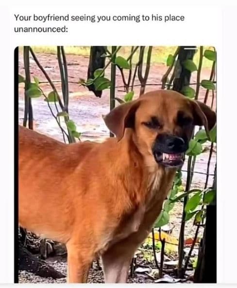 Your boyfriend seeing you coming to his place unannounced