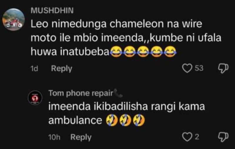 Mushdhin leo nimedunga chameleon na wire moto ile mbio imeenda, kumbe ni ufala h