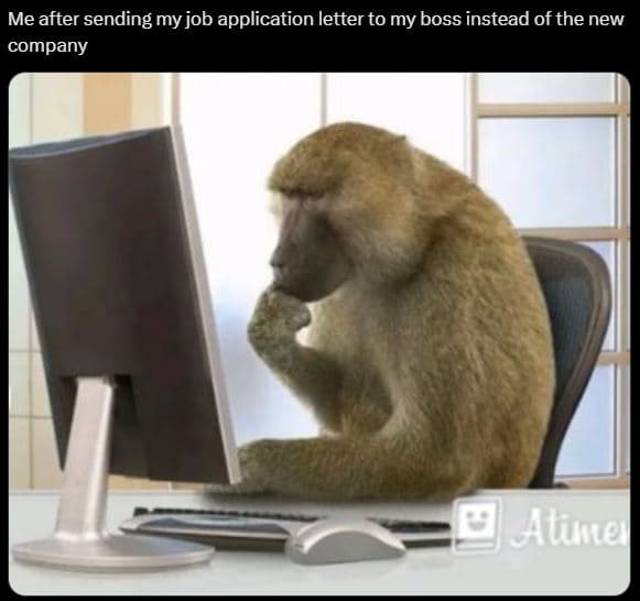 Me after sending my job application letter to my boss instead of the new company