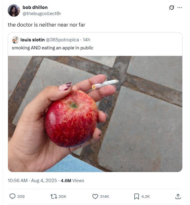 Bob dhillon thebugcollector the doctor is neither near nor far louis slotin 365p