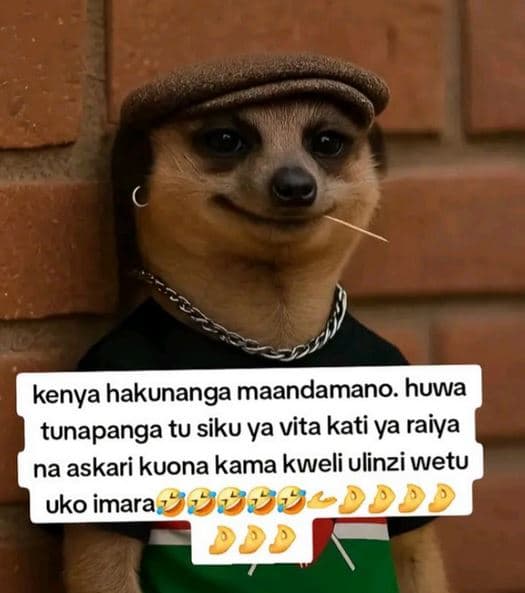 Kenya hakunanga maandamano. huwa tunapanga tu siku ya vita kati ya raiya na aska