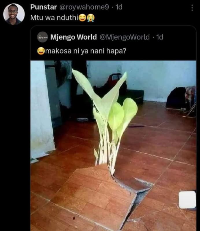 Punstar roywahome9 id mtu wa nduthis mjengo world mjengoworld id makosa ni ya na