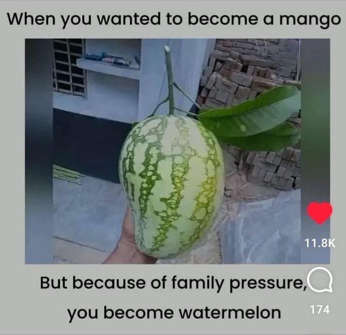 When you wanted to become a mango 11.8k but because of family pressure, you beco