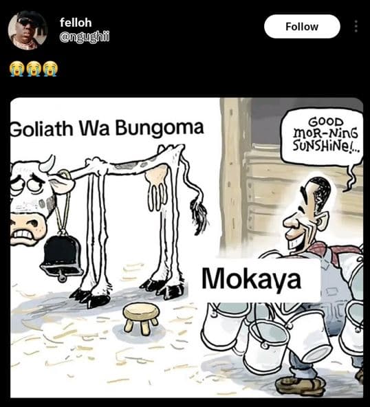 Felloh ngughl follow 00 good morning 5unshine? goliath wa bungoma mokaya
