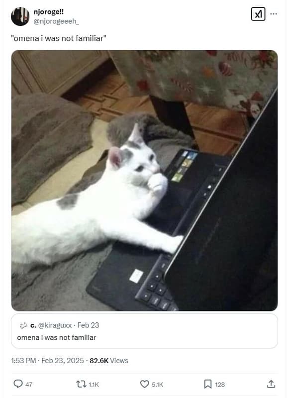 Njorogel! njorogeeeh_ omena was not familiar 66 kiraguxx feb 23 omena was not fa