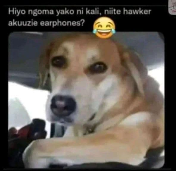 Hiyo ngoma yako ni kali, niite hawker akuuzie earphones?