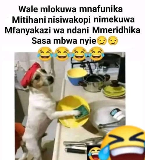Wale mlokuwa mnafunika mitihani nisiwakopi nimekuwa mfanyakazi wa ndani mmeridhi