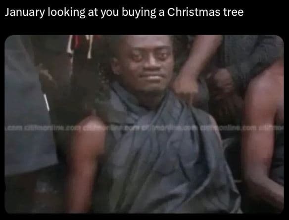 January looking at you buying a christmas tree