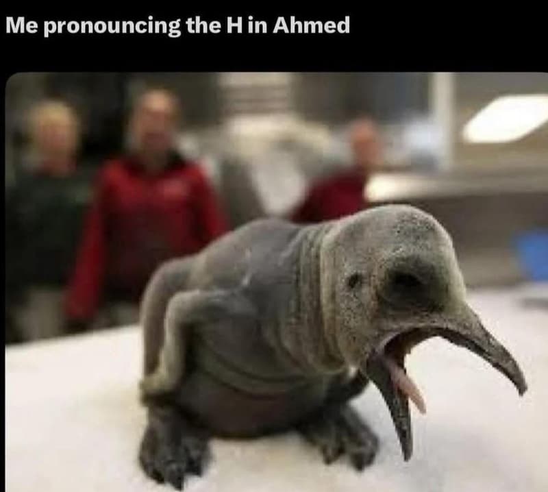 Me pronouncing the hin ahmed