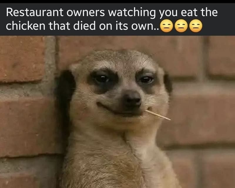 Restaurant owners watching you eat the chicken that died on its own 9