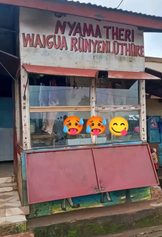 Nyama waicoiromiig theri