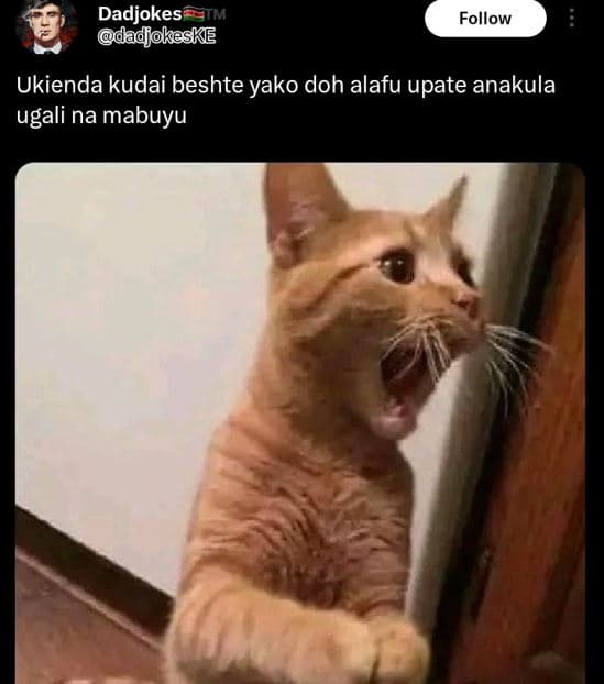 Dadjokes dadjokeske follow ukienda kudai beshte yako doh alafu upate anakula uga