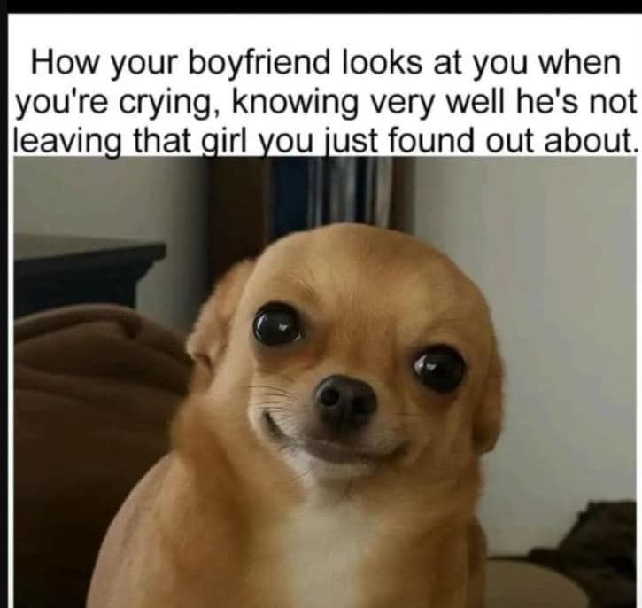 How your boyfriend looks at you when you're crying knowing very well he's not le