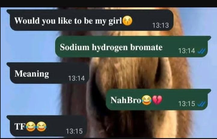 Would you like to be my girl 13,13 sodium hydrogen bromate 13.14 meaning 13.14 n