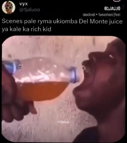 Vyx ijaluoo g1jaluo akadinali jamashani tea1 scenes pale ryma ukiomba del monte