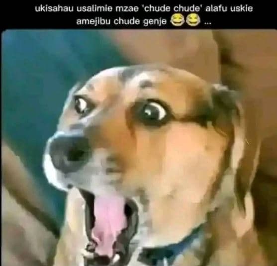 Ukisahau usalimle mzae 'chude chude' alafu uskie amejibu chude genje