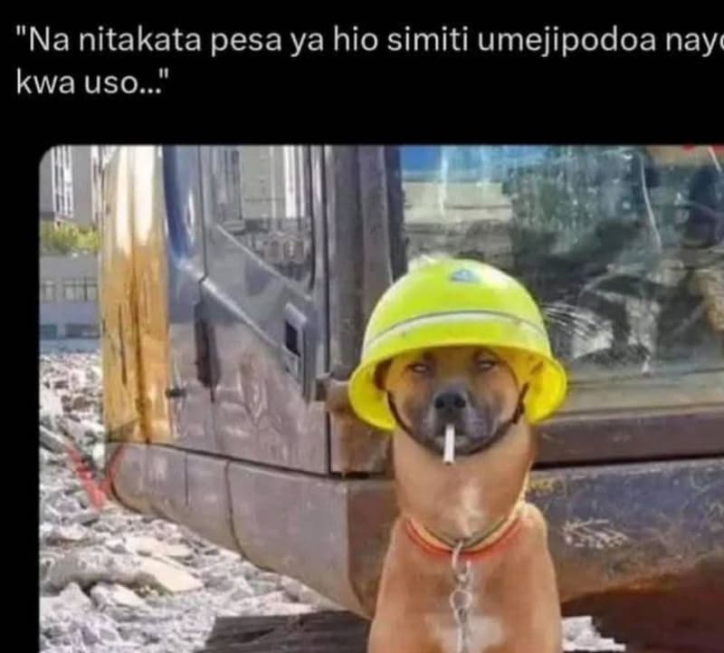 Na nitakata pesa ya hio simiti umejipodoa nay kwa uso 0