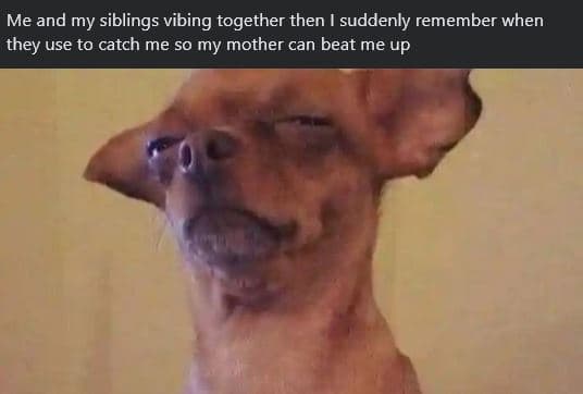 Me and my siblings vibing together then suddenly remember when they use to catch