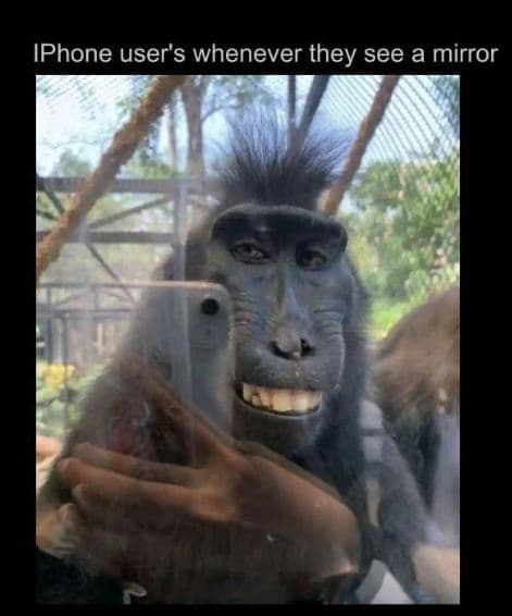 Iphone user's whenever they see a mirror