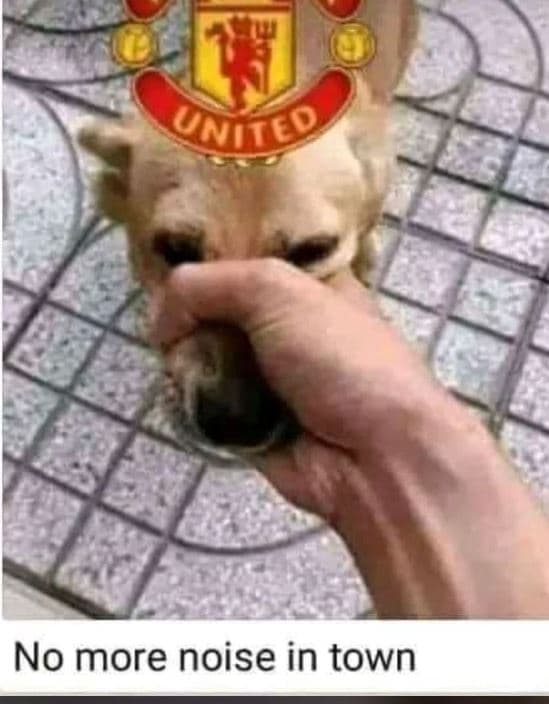 Qfds no more noise in town