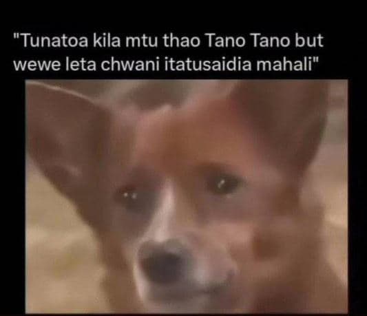 Tunatoa kila mtu thao tano tano but wewe leta chwani itatusaidia mahali