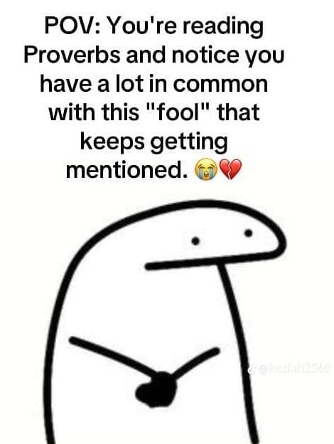 Pov you're reading proverbs and notice you have a lot in common with this fool t