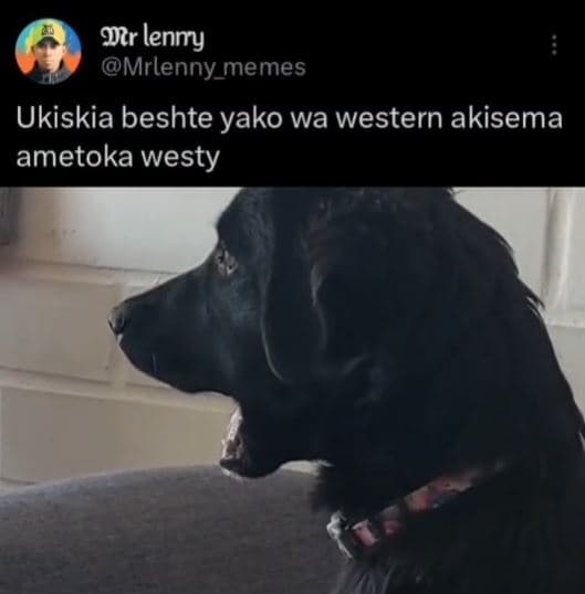 Otr lenmy mrlenny_memes ukiskia beshte yako wa western akisema ametoka westy