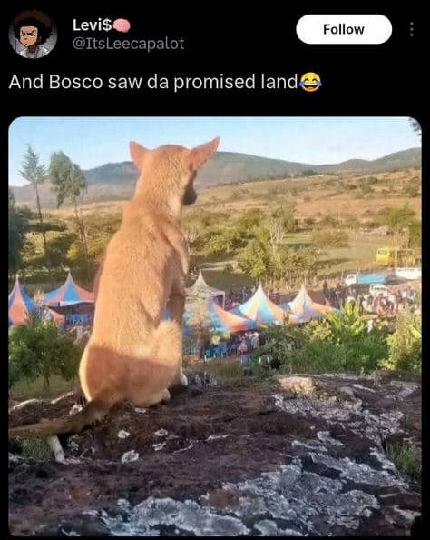 Levis itsleecapalot follow and bosco saw da promised land