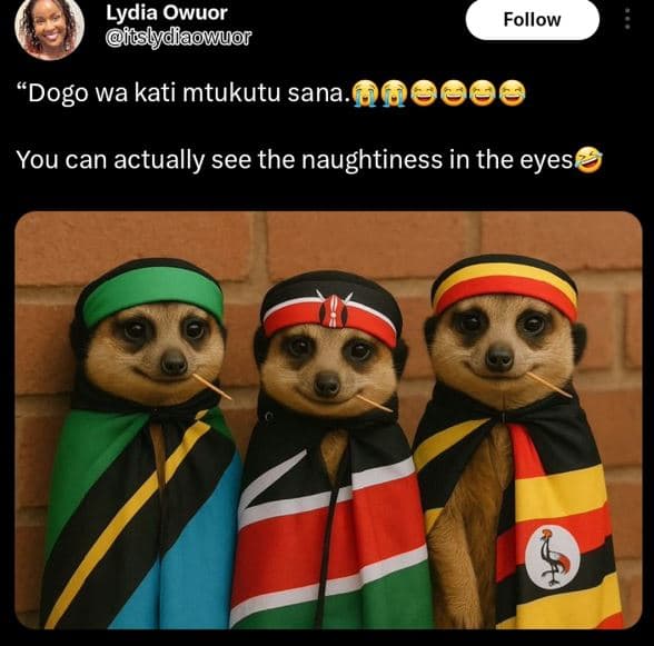 Lydia owuor aslydlaowuor follow 'dogo wa kati mtukutu sana 6 you can actually se
