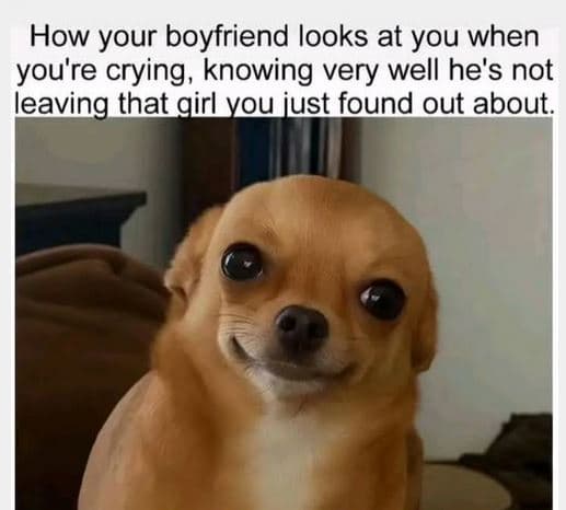 How your boyfriend looks at you when you're crying knowing very well he's not le
